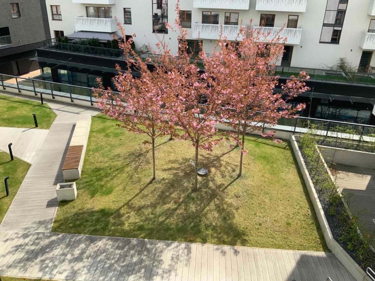 Apartment Z Kominkiem W Sercu Wroclawia Kültér fotó